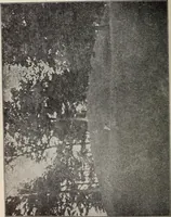 An illustration from Ohio archæological and historical quarterly (1887)