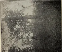 An illustration from Ohio archæological and historical quarterly (1887)