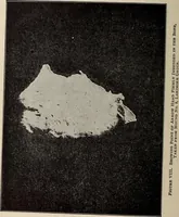 An illustration from Ohio archæological and historical quarterly (1887)