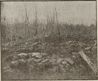 Picture 42 of 88 from Ohio archæological and historical quarterly (1887), leaf 211