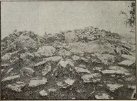 Picture 46 of 88 from Ohio archæological and historical quarterly (1887), leaf 215