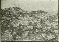 An illustration from Ohio archæological and historical quarterly (1887)