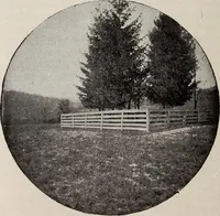 Picture 68 of 88 from Ohio archæological and historical quarterly (1887), leaf 465