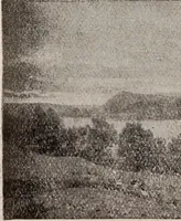 Picture 86 of 88 from Ohio archæological and historical quarterly (1887), leaf 529