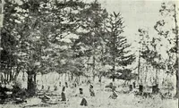 Picture 20 of 88 from Ohio archæological and historical quarterly (1887), leaf 80