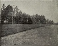 Picture 21 of 88 from Ohio archæological and historical quarterly (1887), leaf 89