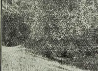 Picture 22 of 88 from Ohio archæological and historical quarterly (1887), leaf 90