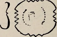 Picture 28 of 63 from Ohio archæological and historical quarterly (1887), leaf 159