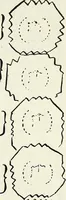 An illustration from Ohio archæological and historical quarterly (1887)