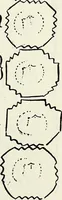 An illustration from Ohio archæological and historical quarterly (1887)