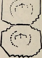 An illustration from Ohio archæological and historical quarterly (1887)