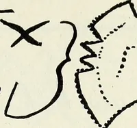 Picture 32 of 63 from Ohio archæological and historical quarterly (1887), leaf 162