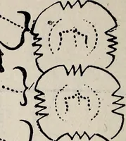 An illustration from Ohio archæological and historical quarterly (1887)