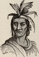 An illustration from Ohio archæological and historical quarterly (1887)