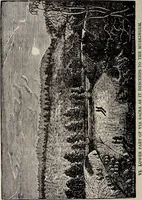Picture 13 of 63 from Ohio archæological and historical quarterly (1887), leaf 69