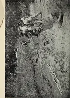 An illustration from Ohio archæological and historical quarterly (1887)