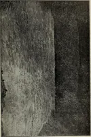 An illustration from Ohio archæological and historical quarterly (1887)