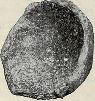 An illustration from Ohio archæological and historical quarterly (1887)