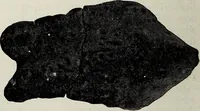 An illustration from Ohio archæological and historical quarterly (1887)