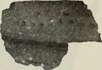 An illustration from Ohio archæological and historical quarterly (1887)