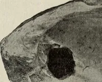 An illustration from Ohio archæological and historical quarterly (1887)