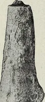An illustration from Ohio archæological and historical quarterly (1887)