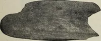 An illustration from Ohio archæological and historical quarterly (1887)
