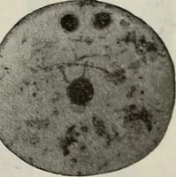 An illustration from Ohio archæological and historical quarterly (1887)