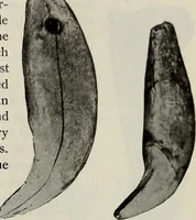 An illustration from Ohio archæological and historical quarterly (1887)