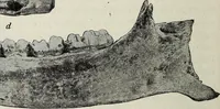 An illustration from Ohio archæological and historical quarterly (1887)