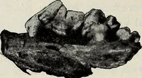 An illustration from Ohio archæological and historical quarterly (1887)