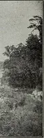 An illustration from Ohio archæological and historical quarterly (1887)
