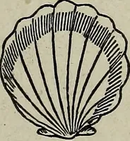 An illustration from Ohio archæological and historical quarterly (1887)