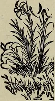 An illustration from Ohio archæological and historical quarterly (1887)