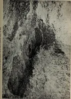 An illustration from Ohio archæological and historical quarterly (1887)