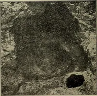 An illustration from Ohio archæological and historical quarterly (1887)