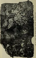 An illustration from Ohio archæological and historical quarterly (1887)