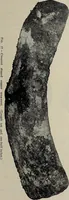 An illustration from Ohio archæological and historical quarterly (1887)