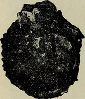 An illustration from Ohio archæological and historical quarterly (1887)