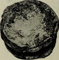 An illustration from Ohio archæological and historical quarterly (1887)