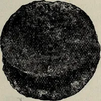 An illustration from Ohio archæological and historical quarterly (1887)