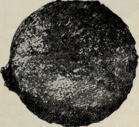 An illustration from Ohio archæological and historical quarterly (1887)