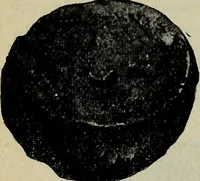 An illustration from Ohio archæological and historical quarterly (1887)