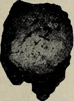 An illustration from Ohio archæological and historical quarterly (1887)