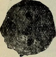 An illustration from Ohio archæological and historical quarterly (1887)