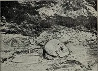 An illustration from Ohio archæological and historical quarterly (1887)
