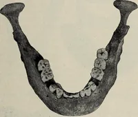 An illustration from Ohio archæological and historical quarterly (1887)