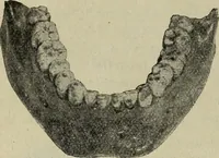 An illustration from Ohio archæological and historical quarterly (1887)