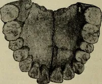 An illustration from Ohio archæological and historical quarterly (1887)
