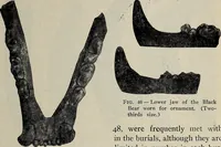 An illustration from Ohio archæological and historical quarterly (1887)